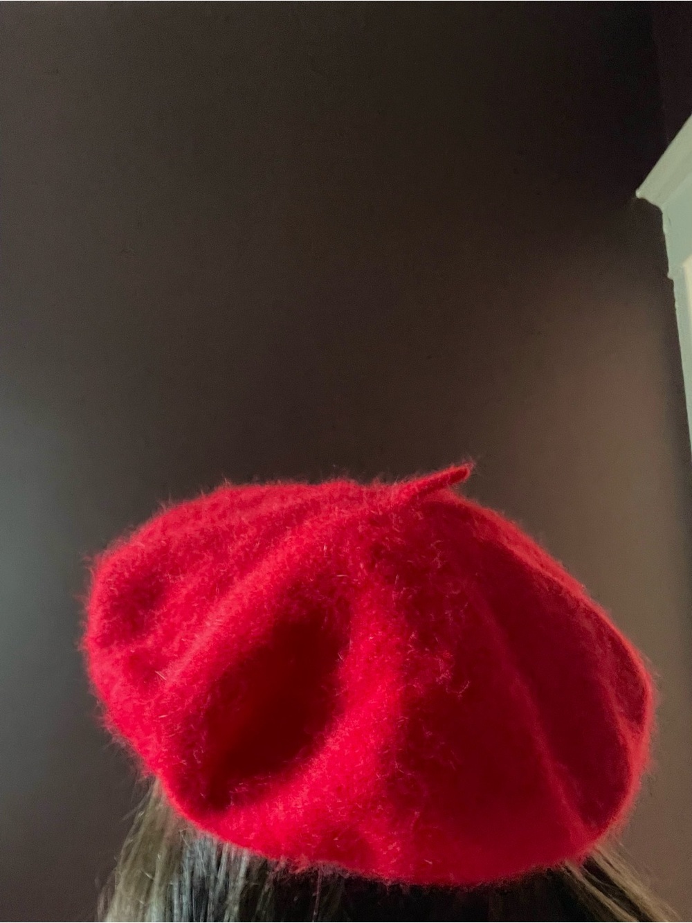 Vintage Angora Wool Beret
